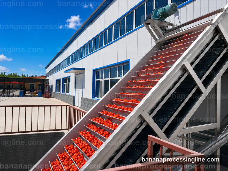 industrial banana pulp processing line, installation and maintenance: maceration with fiber refinement section connection view