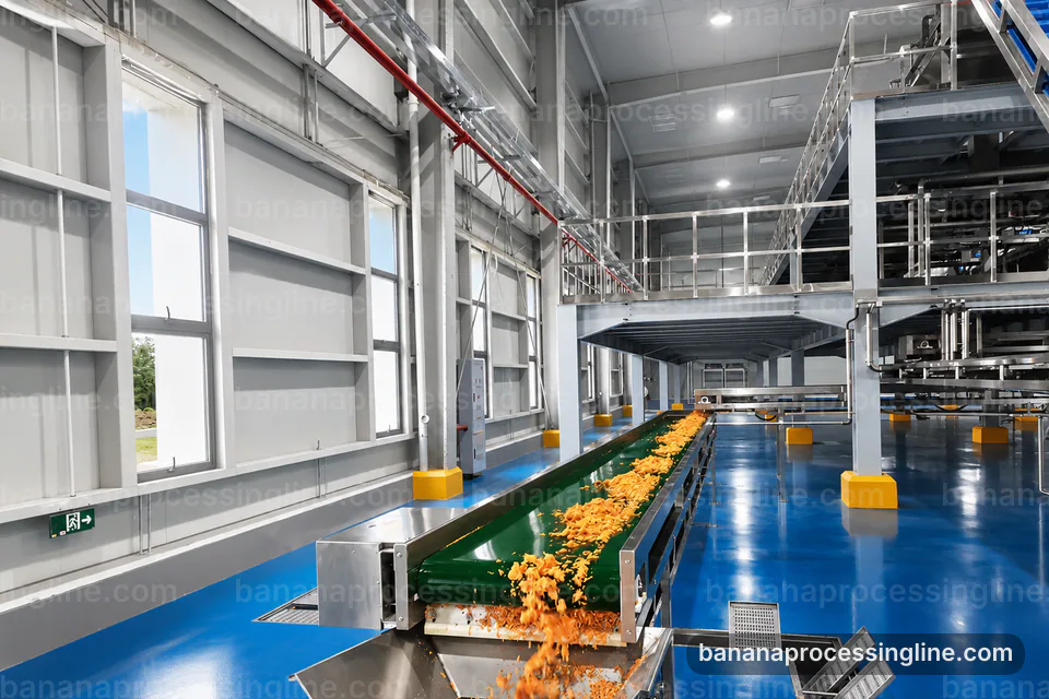 industrial banana pulp processing line, installation and maintenance: banana peeling and pulping section operating stage