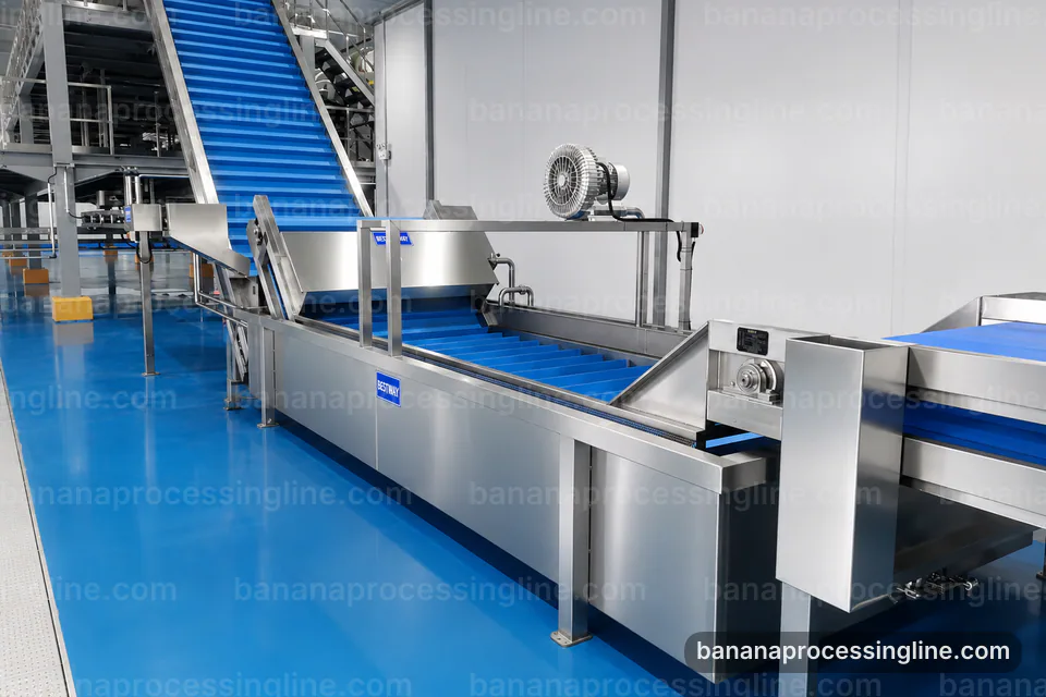 industrial banana pulp processing line, applied process engineering: banana peeling and pulping section operating stage