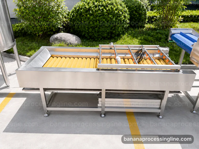 industrial banana pulp processing line, selection criteria: banana peeling and pulping section connection view